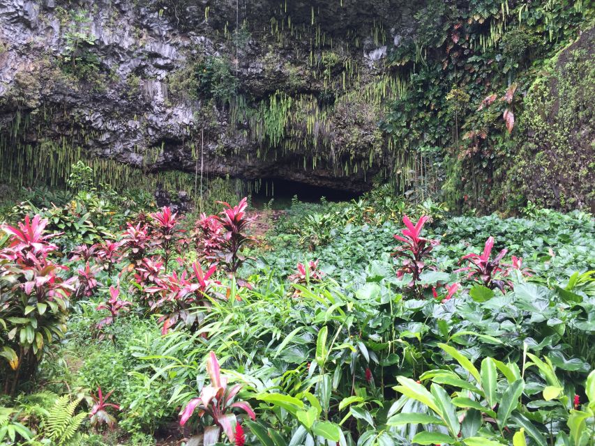Kauai Northeast Tour, Fern Grotto River Cruise & Lighthouse - Kīlauea Lighthouse and Wildlife Refuge: sea birds without the guesswork