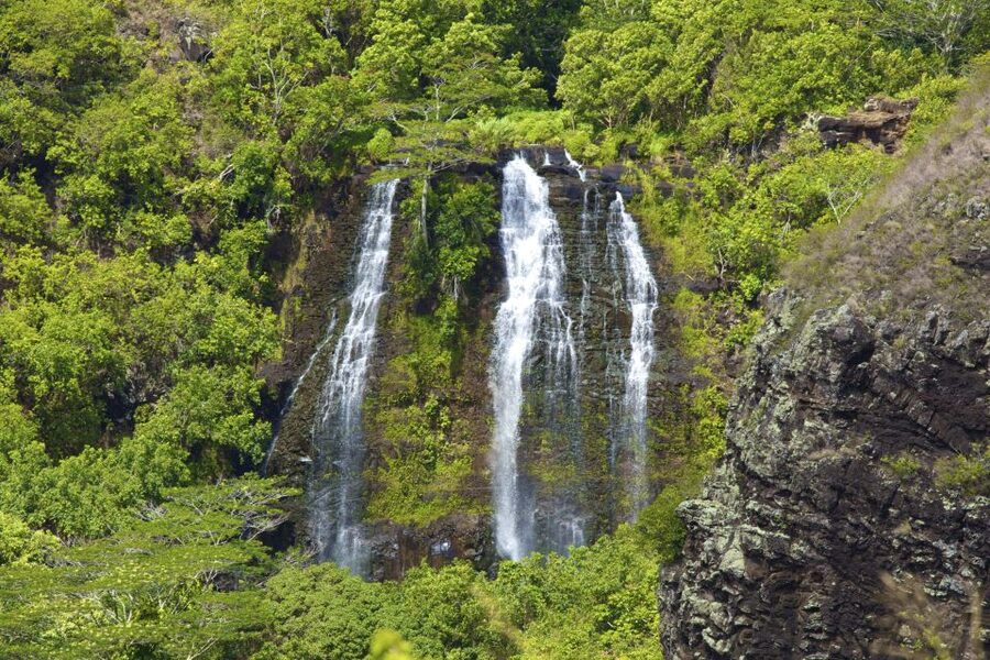 Kauai Northeast Tour, Fern Grotto River Cruise & Lighthouse - The guide experience: where the day turns from scenic to memorable