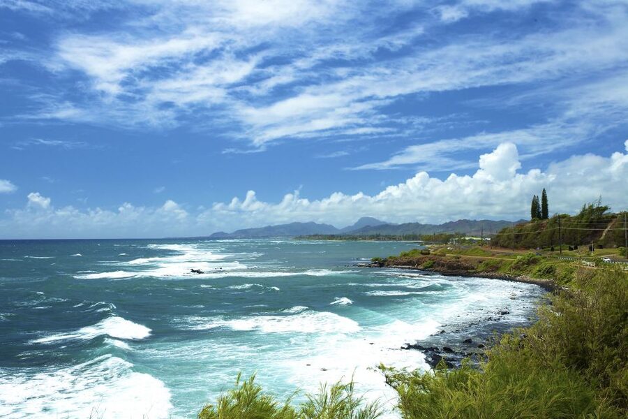 Kauai Northeast Tour, Fern Grotto River Cruise & Lighthouse - Pace, comfort, and what to plan for on a mixed van-and-boat day