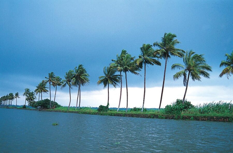 Kerala: Alappuzha River Cruise with Village Walk - How the 3-Hour Private Shikara Ride in Alappuzha Actually Feels