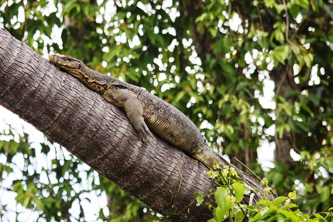 Klias Wildlife Safari River Cruise from Kota Kinabalu - Dinner time: Malay buffet meal after the wildlife cruise