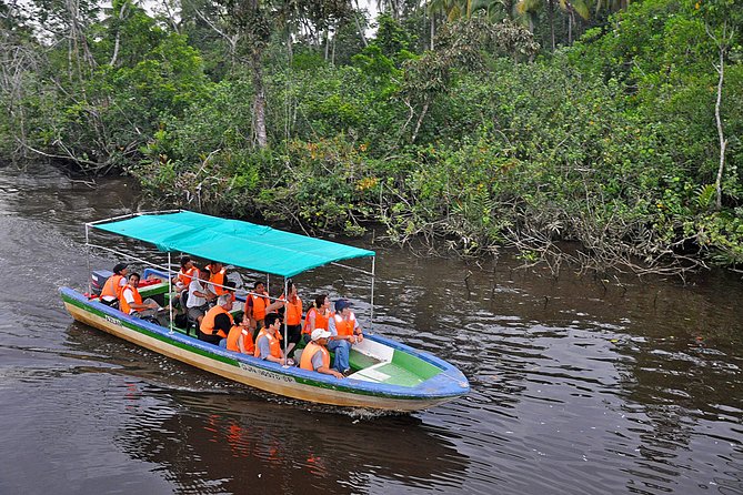 Klias Wildlife Safari River Cruise - Proboscis Monkey & Fireflies - Price and value: is $81 a fair deal for Klias Wetlands?