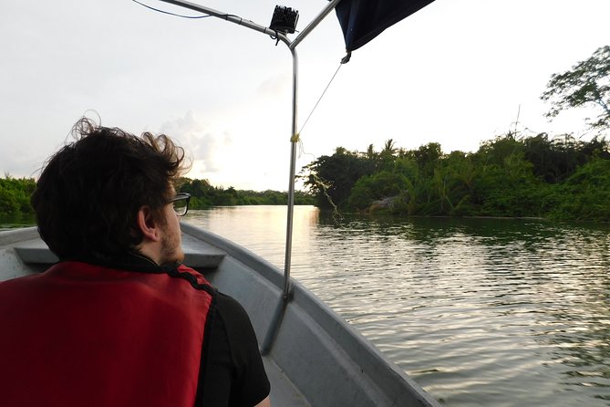 Klias Wildlife Safari River Cruise - Proboscis Monkey & Fireflies - High tea at the lodge: the quiet start to monkey spotting