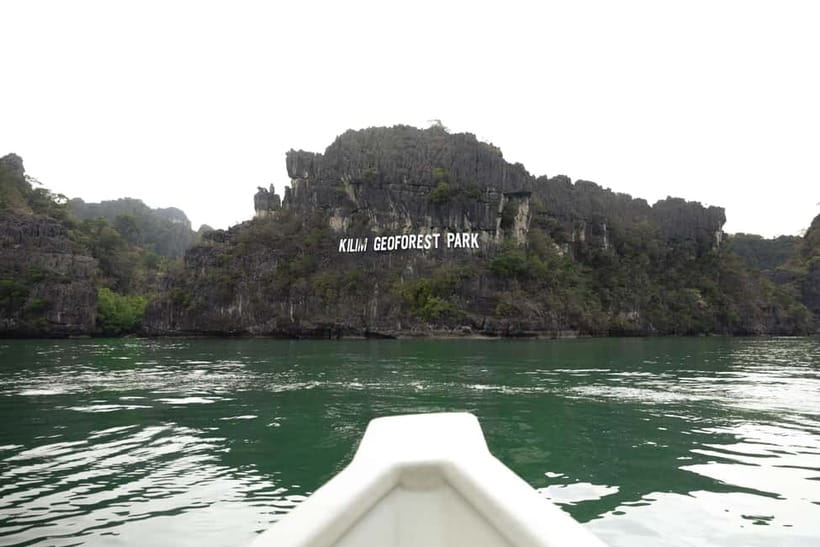 Langkawi: Mangrove River Cruise Sharing 3 Hours - Mangrove channels and the Monkey Area (how to enjoy it safely)