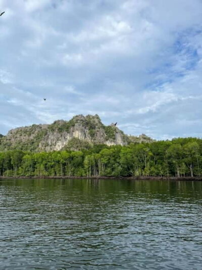 Langkawi: River Cruise and Sunset Cruise Lunch Available - Mangrove river cruise: wildlife spotting without the hiking