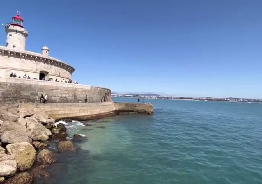 Lisbon: Tagus River Cruise to the Ocean & Dolphin Watching - Should you book this Tagus-to-Atlantic dolphin cruise?