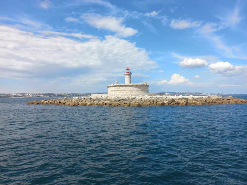 Lisbon: Tagus River Cruise to the Ocean & Dolphin Watching - Who should book, and who should skip this cruise