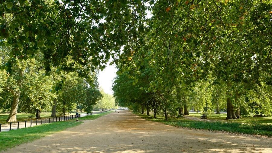 London: Hop-On Hop-Off Pass with Thames River Cruise 24 Hrs - Park and Palace Tour: Hyde Park, Kensington Palace Gardens, and Notting Hill