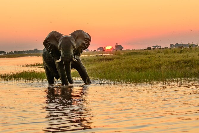 Luxury Sunset River Cruise on the Zambezi - Who should book this sunset cruise (and who might skip)