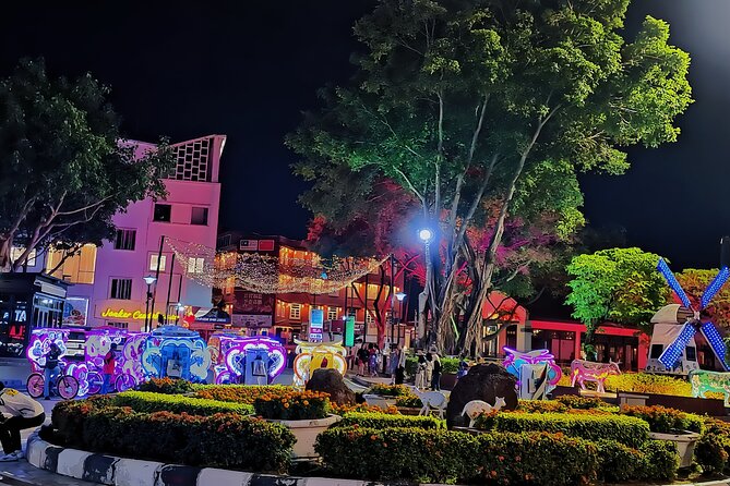 Malacca Night Tour with River Cruise & Trishaw Ride from KL (SIC) - Trishaw Ride: The Fun, Slightly Wild Part