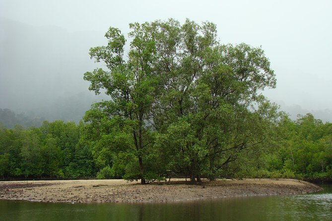 Mangrove River Cruise and Snorkeling Tour from Langkawi - A private mangrove boat day in Langkawi (and why that matters)