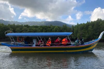 Mangrove River Cruise and Snorkeling Tour from Langkawi - JungleWalla meet-up: your guide, your timing, your expectations