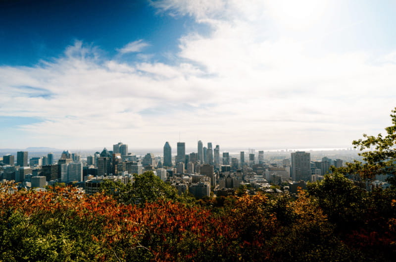 Montreal: Small Group Tour with River Cruise and Notre Dame - Old Montreal area: cobblestones, big buildings, and quick storytelling