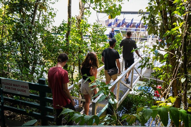 Morning Daintree Tour with River Cruise from Port Douglas - The drive along Captain Cook Highway: your warm-up segment