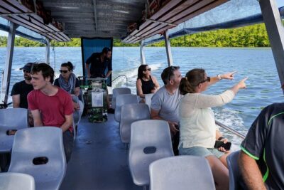 Morning Daintree Tour with River Cruise from Port Douglas - Stop 1: Daintree River cruise for crocodiles and more