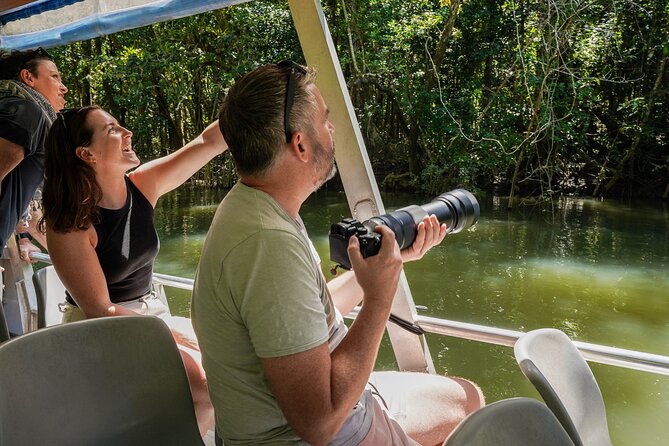 Morning Daintree Tour with River Cruise from Port Douglas - Stop 2: Mossman Gorge boardwalk walk and optional swim