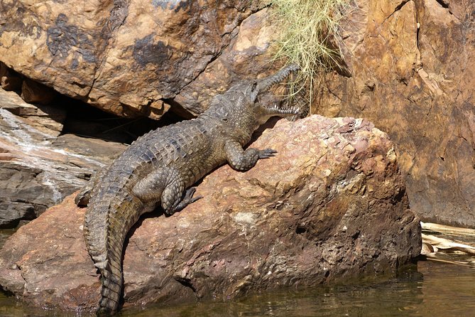 Ord River Cruise Experience with Riverside Lunch - Pickup and drop-off in Kununurra: the day stays easy