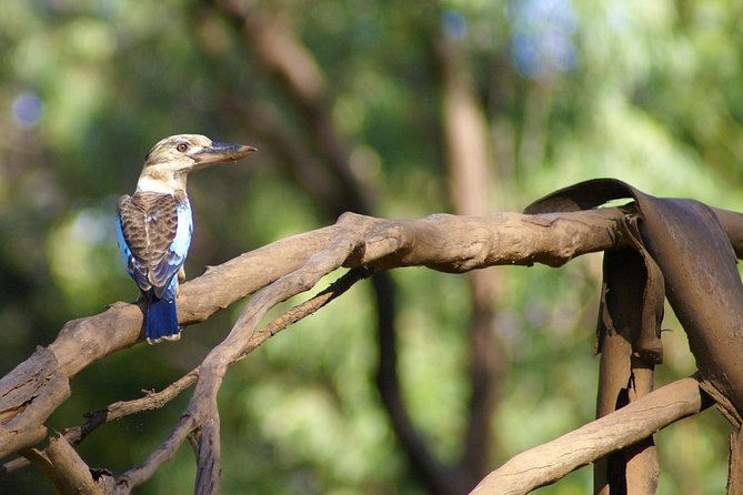 Ord River Cruise Experience with Riverside Lunch - Price and value: is $184.33 worth it?
