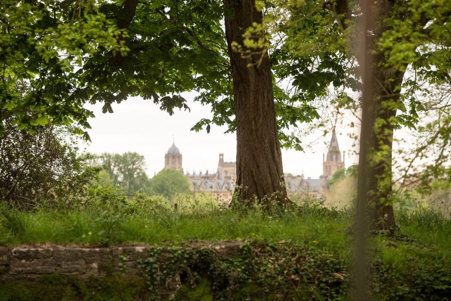 Oxford: Evening Sightseeing River Cruise with a Cocktail - Boat-house views you can’t get from the bank