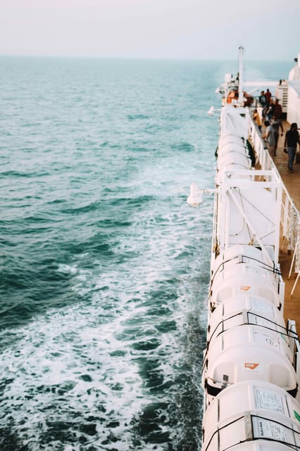 Panaji: Mandovi River Cruise with Dinner and Hotel Transfer - The Buffet Dinner: Goan Food with Starters, Desserts, and Vegetarian Options