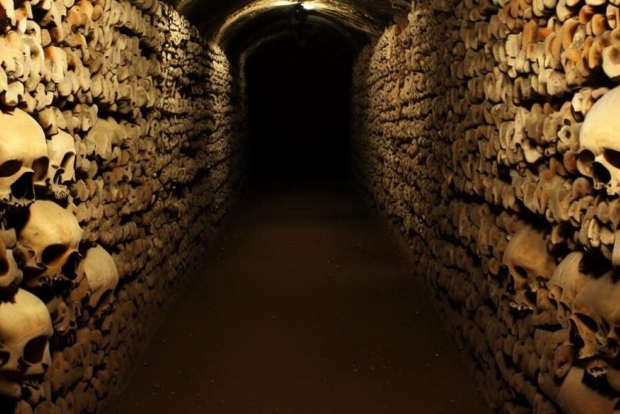 Paris: Catacombs, Audio Guide, and River Cruise Option - Stairs, slippery floors, and who this tour fits best