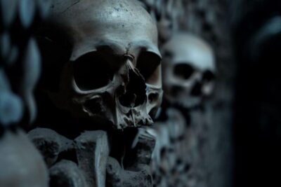 Paris: Catacombs, Audio Guide, and River Cruise Option - Inside the Catacombs: 20 meters underground and all the senses at once