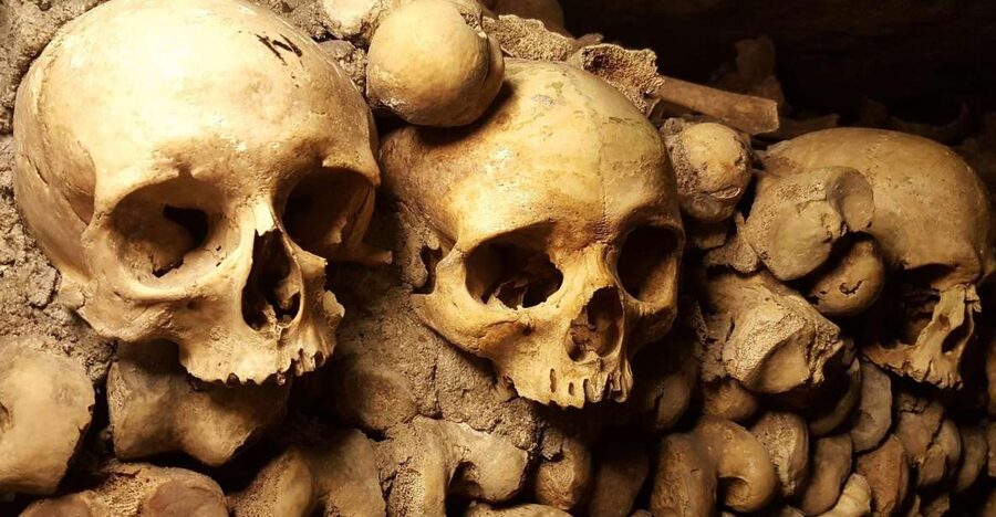 Paris: Catacombs Ticket and Seine River Cruise - Key Highlights You’ll Actually Notice