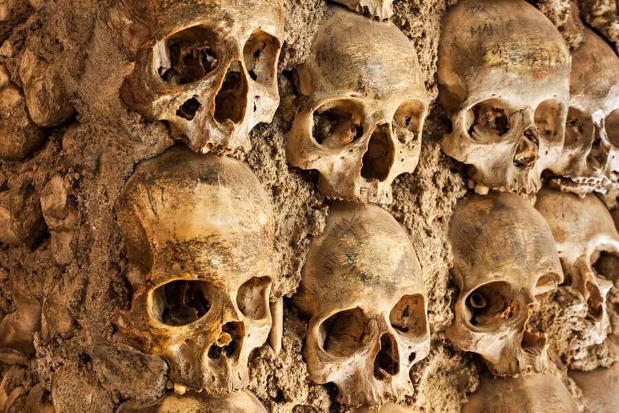 Paris: Catacombs Ticket and Seine River Cruise - Catacombs Timing and the 131-112 Stair Reality