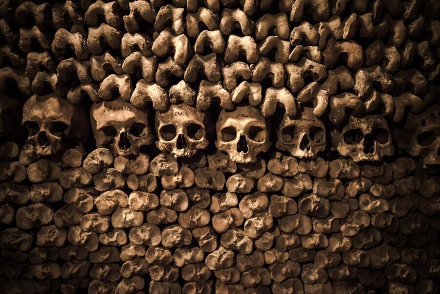 Paris: Catacombs Ticket and Seine River Cruise - Who This Works Best For (and Who Should Skip It)