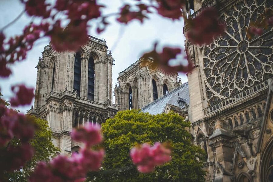 Paris: Notre Dame Cathedral Tour & Seine River Cruise - Where to meet and where the boat actually starts from