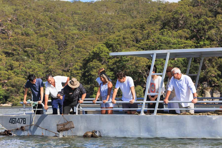 Pearl & Oyster Farm Hawkesbury River Cruise - Quick Takes Before You Go