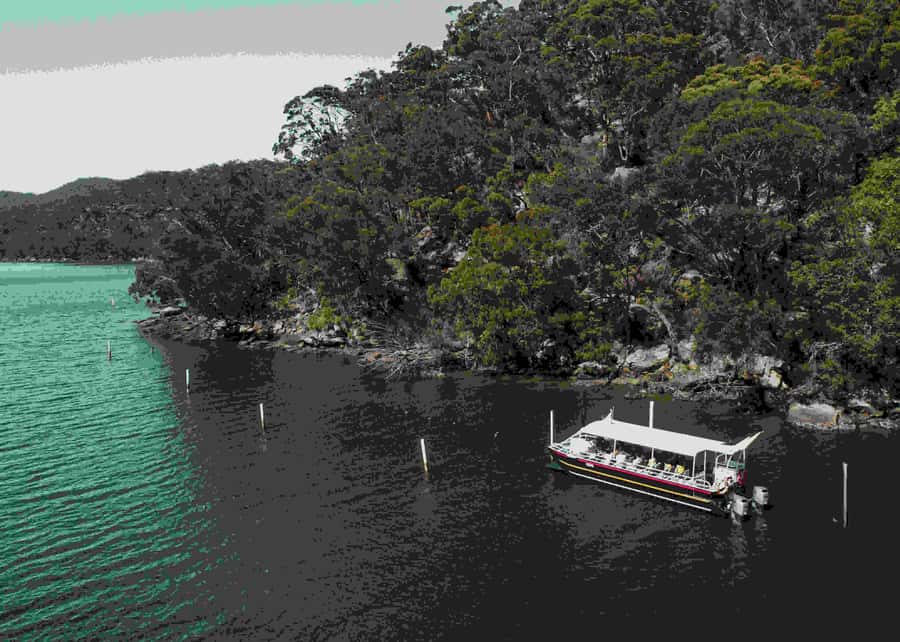 Pearl & Oyster Farm Hawkesbury River Cruise - Hawkesbury River and Broken Bay: How This Cruise Feels Different