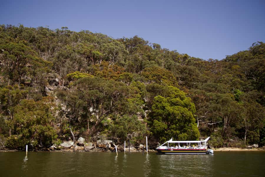 Pearl & Oyster Farm Hawkesbury River Cruise - How Oysters Give Back to People and Planet (and What to Listen For)