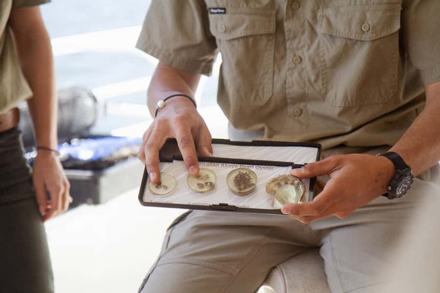 Pearl & Oyster Farm Hawkesbury River Cruise - Price and Value: Is $38 Worth One Hour?