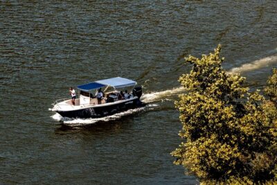 Pinhão: Douro River Cruise with Lunch Included - That 1h15 boat cruise: smaller group, better attention