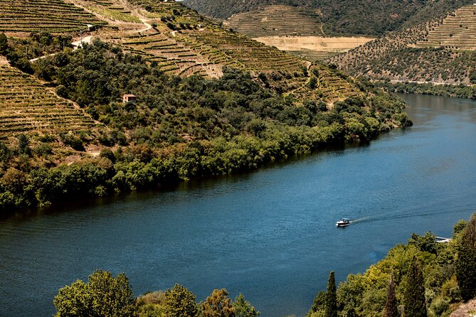 Pinhão: Douro River Cruise with Lunch Included - Timing reality check: what to do if lunch runs long