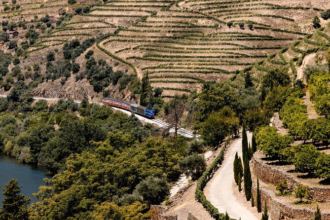 Pinhão: Douro River Cruise with Lunch Included - Who should book this Pinhão Douro experience (and who shouldn’t)