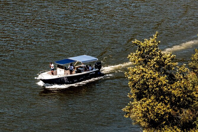 Pinhão: Douro River Cruise with Lunch Included - That 1h15 boat cruise: smaller group, better attention