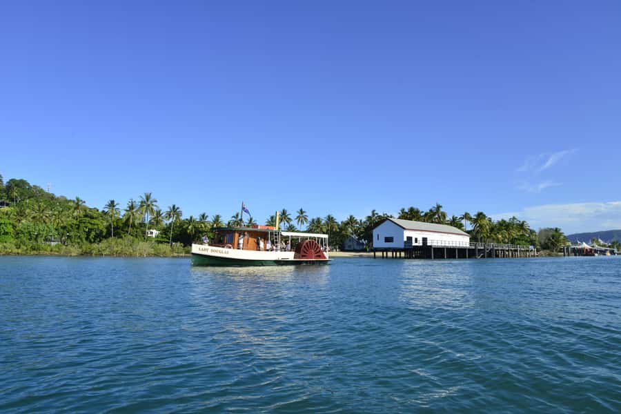Port Douglas: River Cruise, Crocodile Spotting, Drink/ Snack - Mangroves and Dickson Inlet: the scenery loop you’ll actually remember