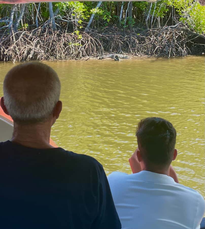 Port Douglas: River Cruise, Crocodile Spotting, Drink/ Snack - Snacks, drinks, and the real value of $34