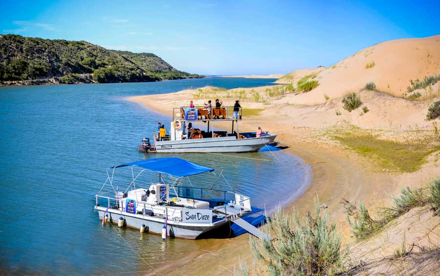 Port Elizabeth: River Cruise on the Sundays River - Birdlife feeding: watch from the water, bring binoculars if you want