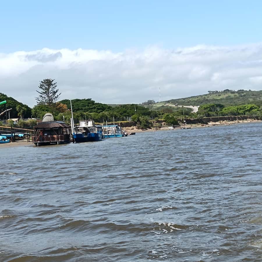 Port Elizabeth: Sundays River Cruise and Kragga Kamma - Sundays River Cruise: birds, water, and the Alexandria dunes