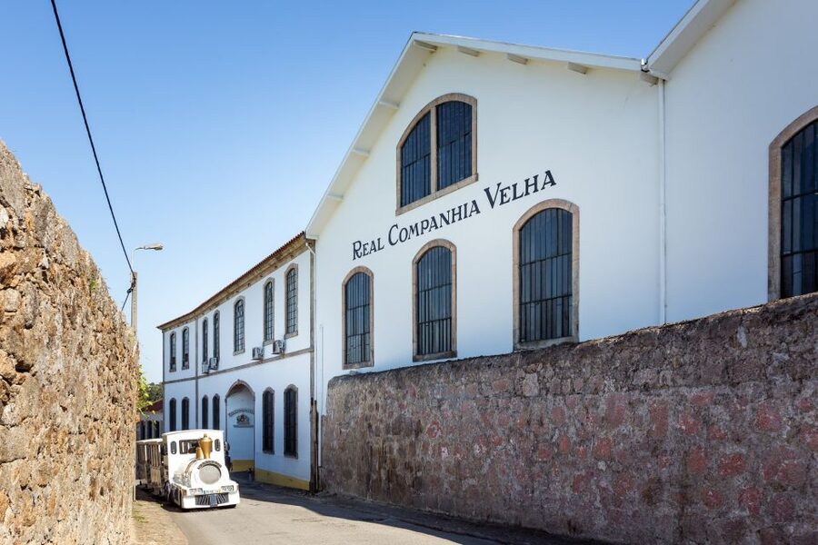 Porto: City Train Tour, River Cruise & Wine Cellar - The city loop after the wine cellar: faster sightseeing, less stress