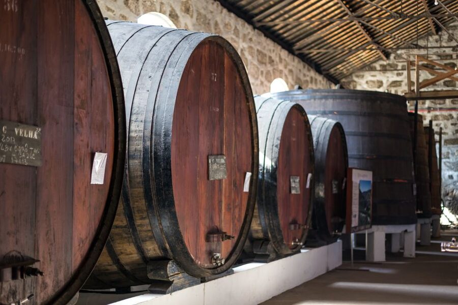 Porto: City Train Tour, River Cruise & Wine Cellar - How comfortable is this tour: audio, cobbles, and wind