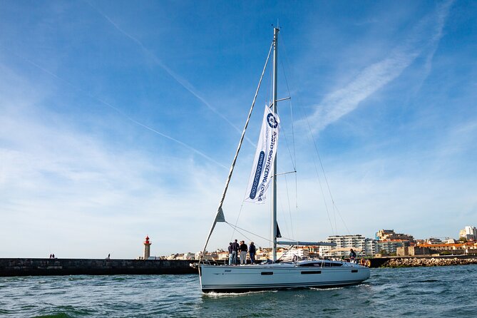 Porto Douro River Cruise With Port Wine - Daytime or Sunset - Douro Estuary nature reserve: wildlife spotting without the strenuous walk