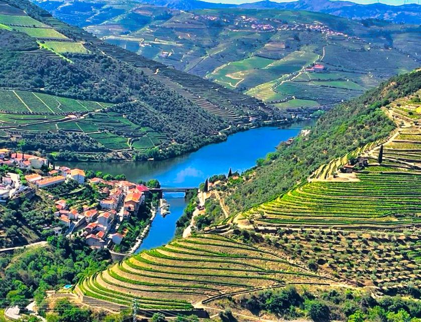 Porto: Douro Valley Private Tour 2 Vineyards & River Cruise - Key things to know before you go