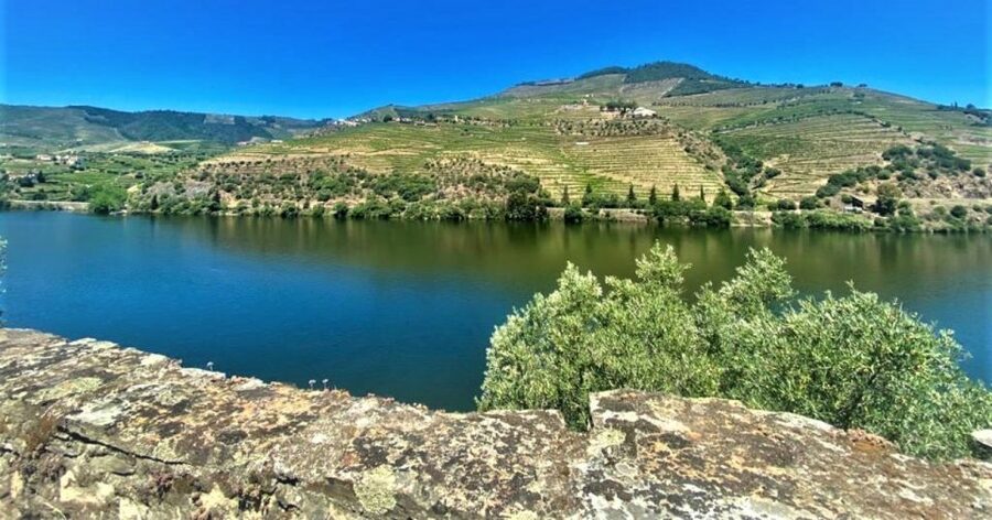 Porto: Douro Valley Private Tour 2 Vineyards & River Cruise - What to bring and how to make the most of a full 9-hour day