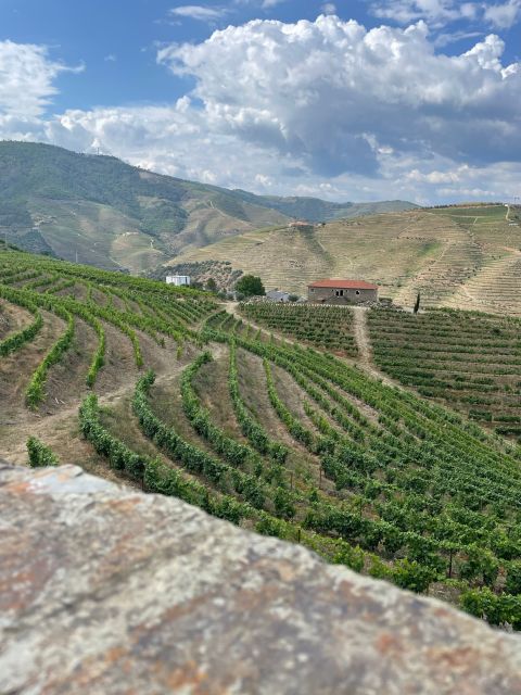 Porto: Douro Valley Private Tour 2 Vineyards & River Cruise - The Douro Valley feeling: how you make sense of Porto’s wine culture