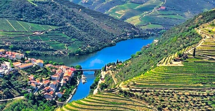 Porto: Douro Valley Private Tour 2 Vineyards & River Cruise - Winery tastings that actually teach: olive oil, table wine, and Port