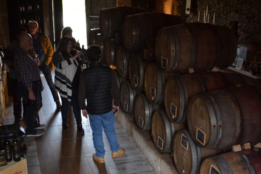 Porto: Douro Valley Vineyards Tour with Lunch & River Cruise - Key highlights worth centering in your plan